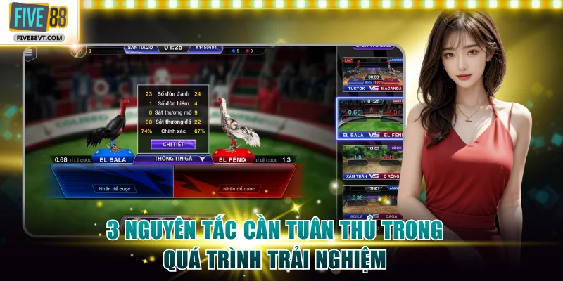 3 nguyên tắc cần tuân thủ trong quá trình trải nghiệm