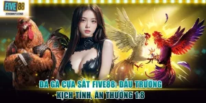 Đá gà cựa sắt