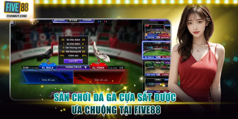 Sân chơi Đá gà cựa sắt được ưa chuộng tại Five88