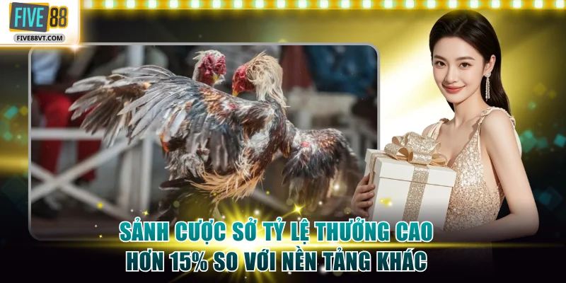 Sảnh cược sở tỷ lệ thưởng cao hơn 15% so với nền tảng khác